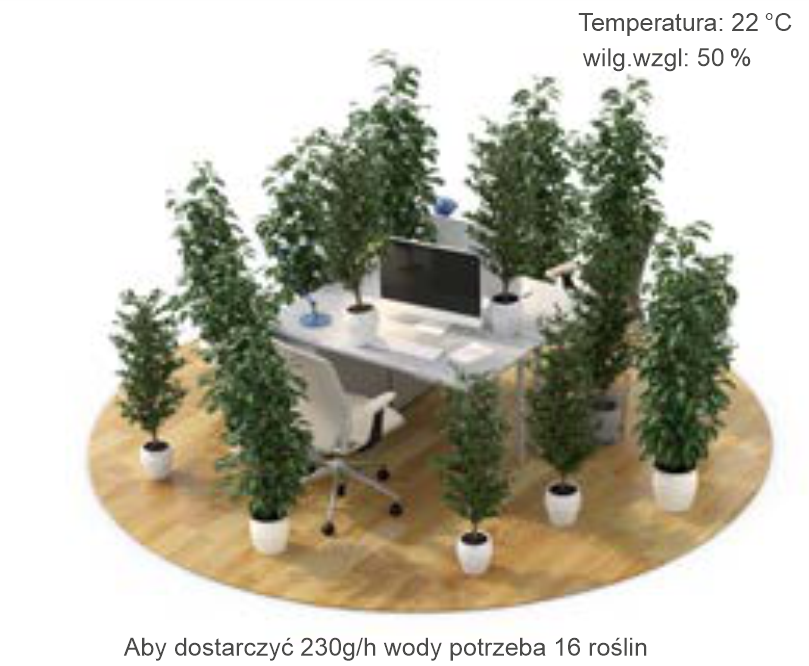 Rośliny dostarczają wilgoć 230g na h